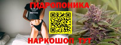 герыч Камышлов