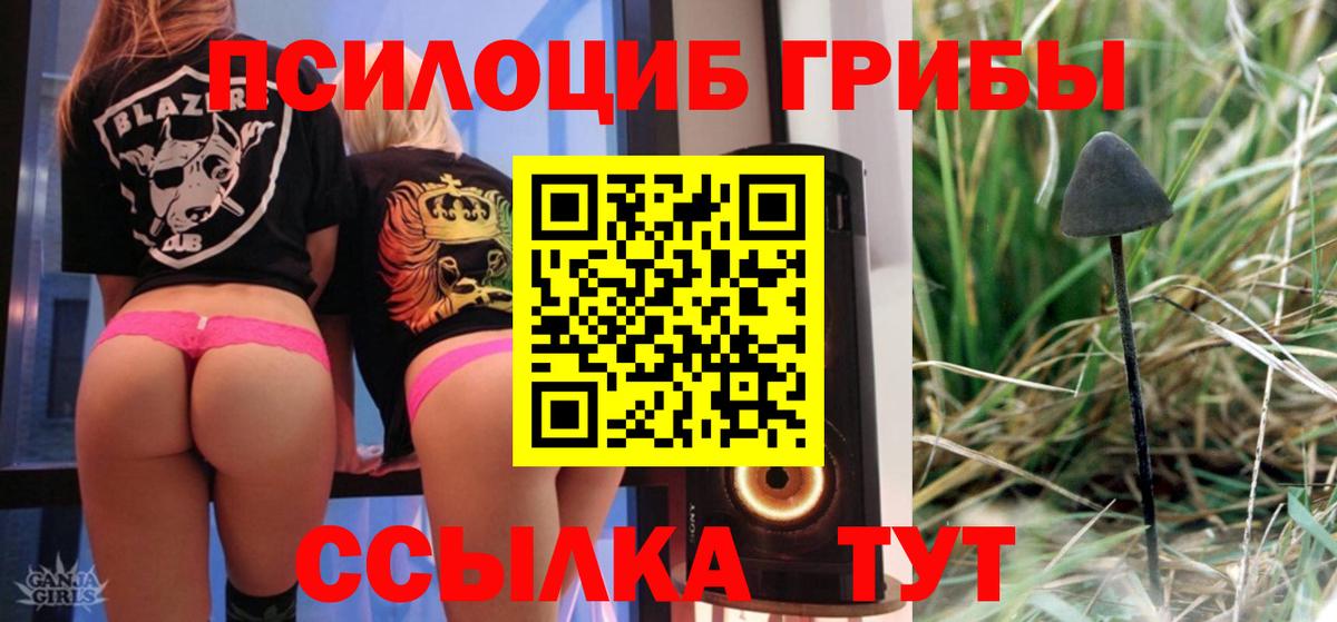 Псилоцибиновые грибы прущие грибы  Вход с VPN  Кудымкар  Псилоцибиновые грибы MAGIC MUSHROOMS 